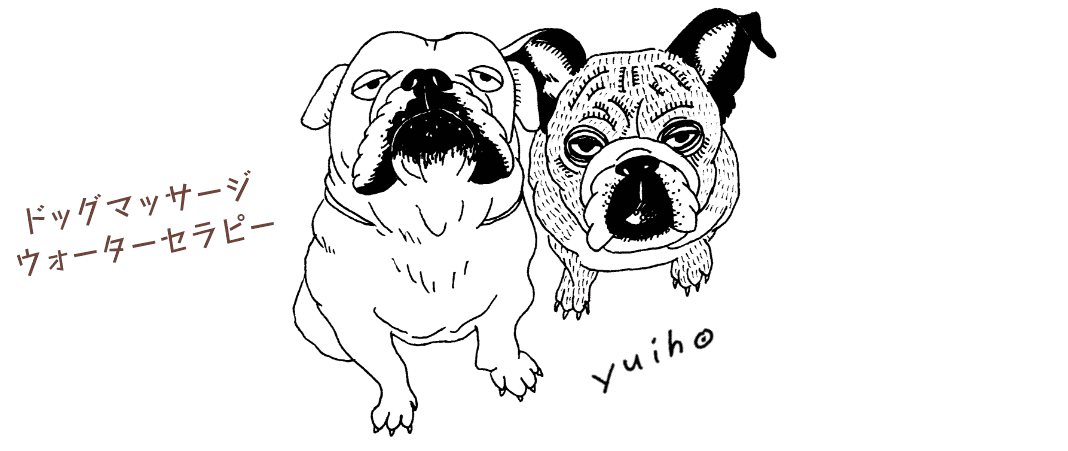 ドックマッサージ　ウォーターセラピー